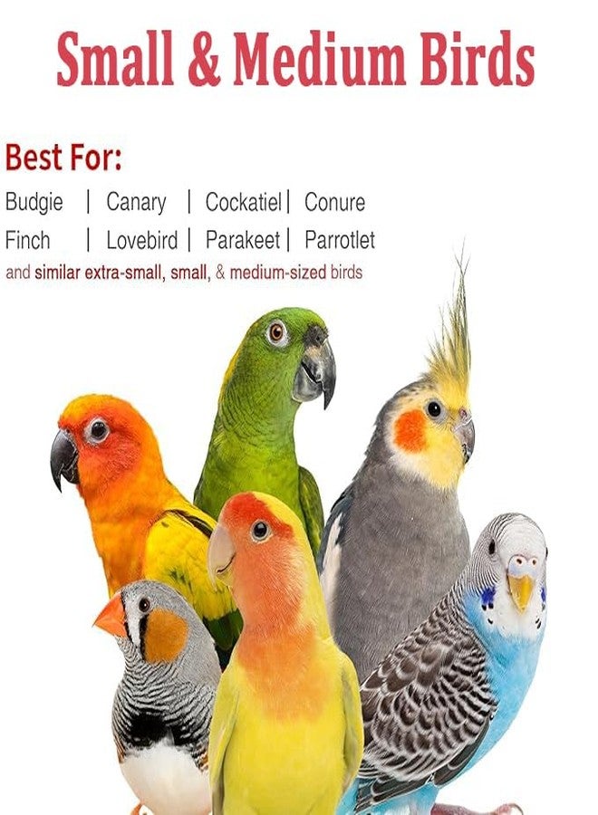 hereex Small Bird Travel Carrier, Portable Bird Travel Cage for Parakeet, Parrot, Budgie, Guinea Pig, Bearded Dragon Reptile Carrier for Hiking Vet Visit Bicycle Ride (Grey) - Image 4