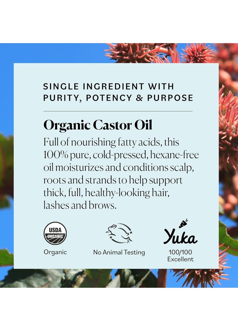 Sky Organics زيت الخروع العضوي من Sky Organics (16 أونصة) معتمد من وزارة الزراعة الأمريكية، نقي بنسبة 100%، معصور على البارد، خالٍ من الهكسين، يعزز نمو الشعر، يُستخدم مع عبوة زيت الخروع  - Image 4