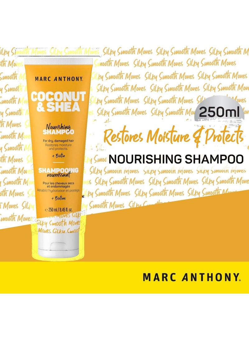 مارك أنتوني، شامبو مرطب بزيت جوز الهند وزبدة الشيا، 8.4 أونصة، 250 مل، شامبو للجنسين - Image 3