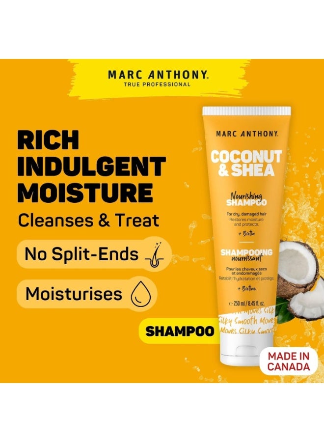 مارك أنتوني، شامبو مرطب بزيت جوز الهند وزبدة الشيا، 8.4 أونصة، 250 مل، شامبو للجنسين - Image 2