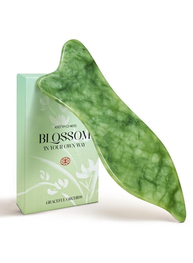 Rena Chris Gua Sha Facial Tools - Acupressure & Gua Sha, Jade Gua Sha Stone for Face Massage, Jawline Sculpting and Puffiness Reducing, Skin Care Tool with User Manual - Image 1