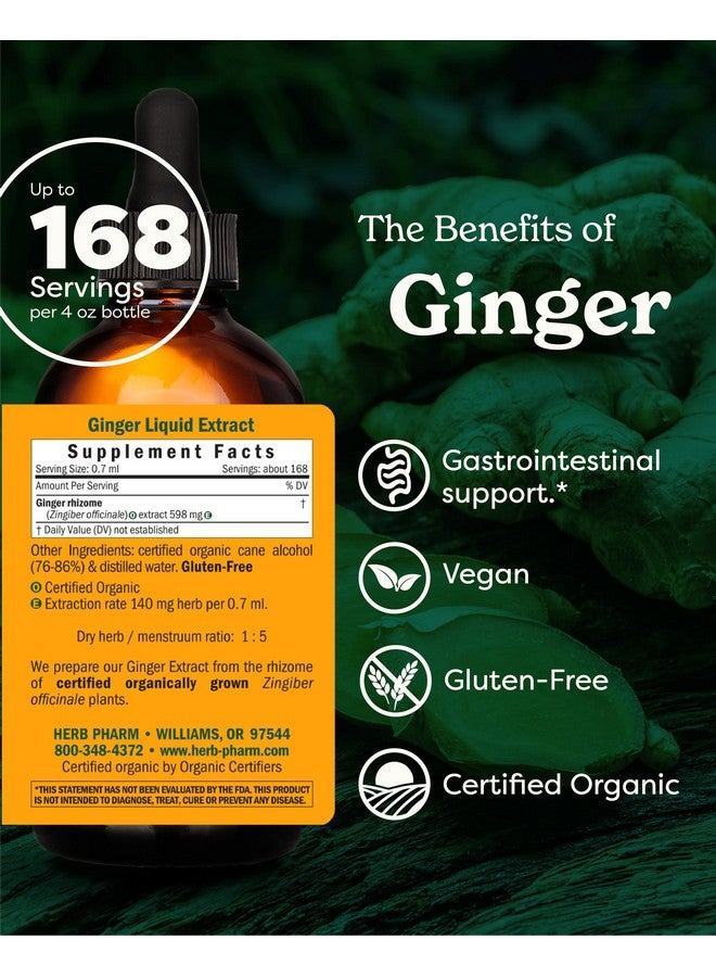 HERB PHARM USDA Organic Ginger Root Extract*: Digestion & Circulatory Support | Ginger Tincture for Occasional Nausea | Non-Bitter Vegan Digestive Supplement | 4 Oz, Up to 3 Months Supply - Image 1