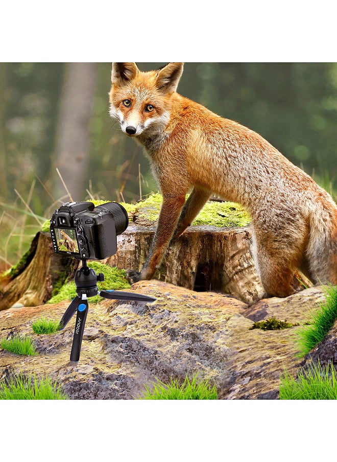 ANDOER - H20 Mini Tabletop Tripod Portable Foldable Phone Camera Tripod Stand with Removable Ball Head with 1/4 Inch Screw - Image 1