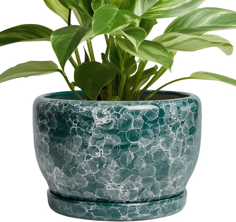 SQOWL 8 Inch Plant Pot - Ceramic Planter for Indoor Plants, Decorative Flower Pot with Drainage Hole and Saucer, Round Planter Outdoor, Room Patio Decor, Garden Gifts for Women, Green - Image 1
