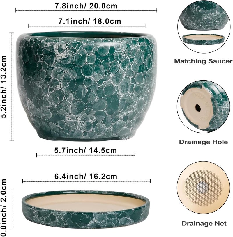 SQOWL 8 Inch Plant Pot - Ceramic Planter for Indoor Plants, Decorative Flower Pot with Drainage Hole and Saucer, Round Planter Outdoor, Room Patio Decor, Garden Gifts for Women, Green - Image 3