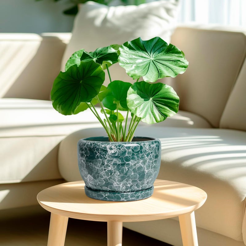 SQOWL 8 Inch Plant Pot - Ceramic Planter for Indoor Plants, Decorative Flower Pot with Drainage Hole and Saucer, Round Planter Outdoor, Room Patio Decor, Garden Gifts for Women, Green - Image 2