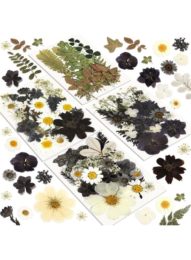 Resiners 100 Pcs Dried Pressed Flowers for Resin Moulds Black Real Pressed Flowers Dried Leaves for Resin Craft Jewelry Scrapbooking Craft Paper Soap Candle - Image 1