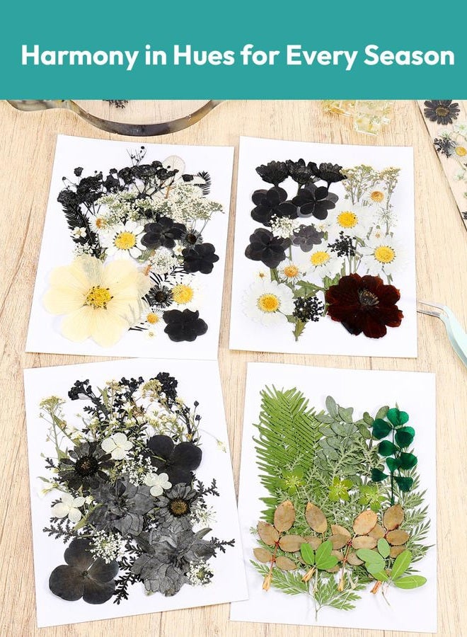 Resiners 100 Pcs Dried Pressed Flowers for Resin Moulds Black Real Pressed Flowers Dried Leaves for Resin Craft Jewelry Scrapbooking Craft Paper Soap Candle - Image 2