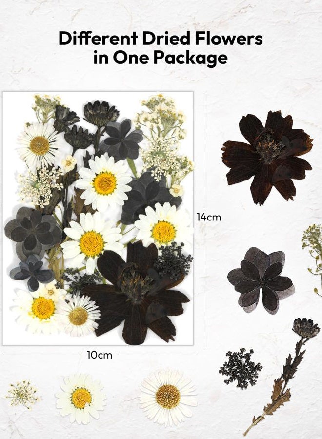 Resiners 100 Pcs Dried Pressed Flowers for Resin Moulds Black Real Pressed Flowers Dried Leaves for Resin Craft Jewelry Scrapbooking Craft Paper Soap Candle - Image 5