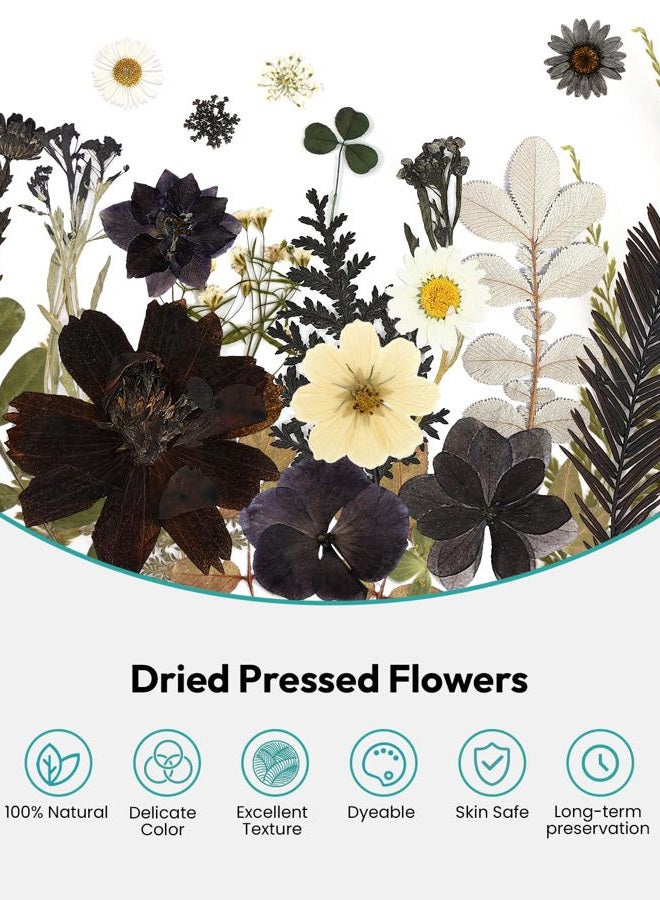 Resiners 100 Pcs Dried Pressed Flowers for Resin Moulds Black Real Pressed Flowers Dried Leaves for Resin Craft Jewelry Scrapbooking Craft Paper Soap Candle - Image 4