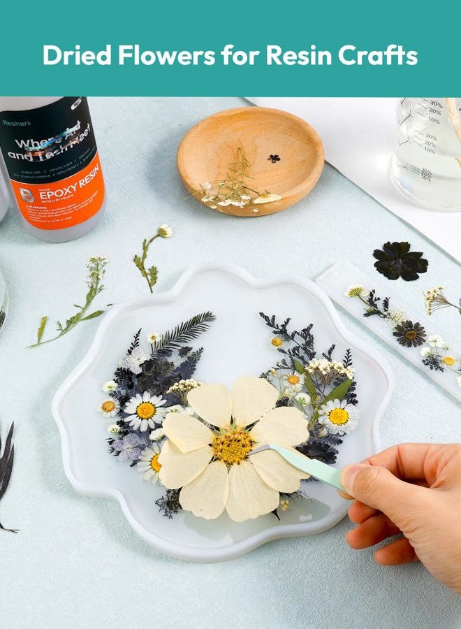 Resiners 100 Pcs Dried Pressed Flowers for Resin Moulds Black Real Pressed Flowers Dried Leaves for Resin Craft Jewelry Scrapbooking Craft Paper Soap Candle - Image 3