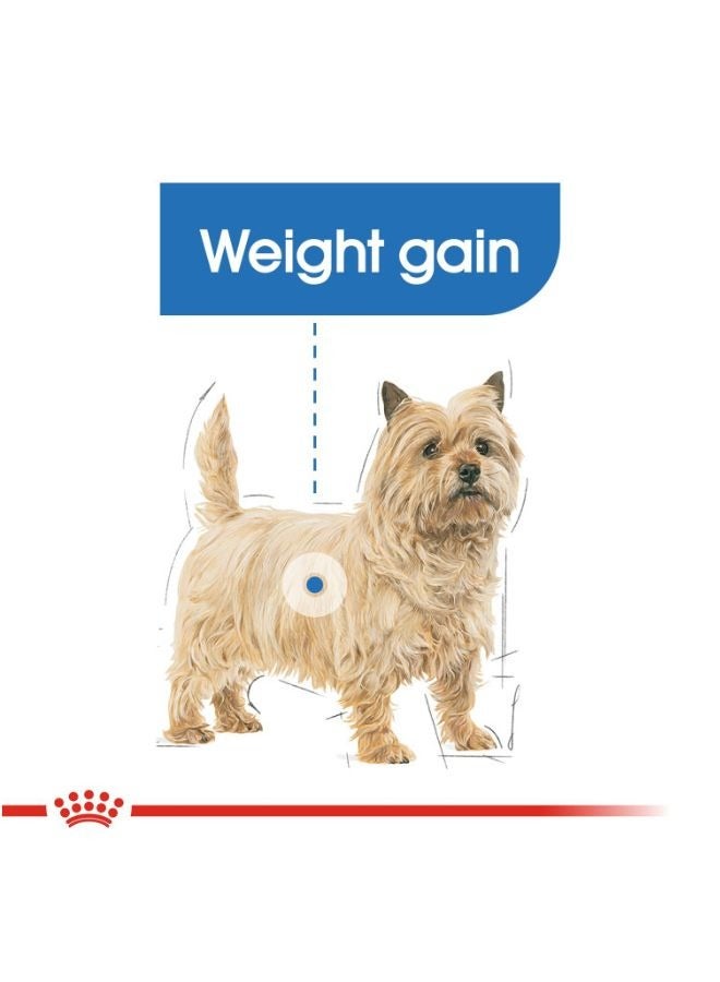 رويال كانين تغذية العناية بالكلاب، العناية بالوزن الخفيف، الأطعمة الرطبة أكياس - Image 4