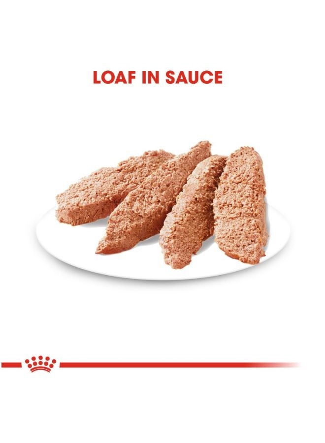 رويال كانين تغذية العناية بالكلاب، العناية بالوزن الخفيف، الأطعمة الرطبة أكياس - Image 2