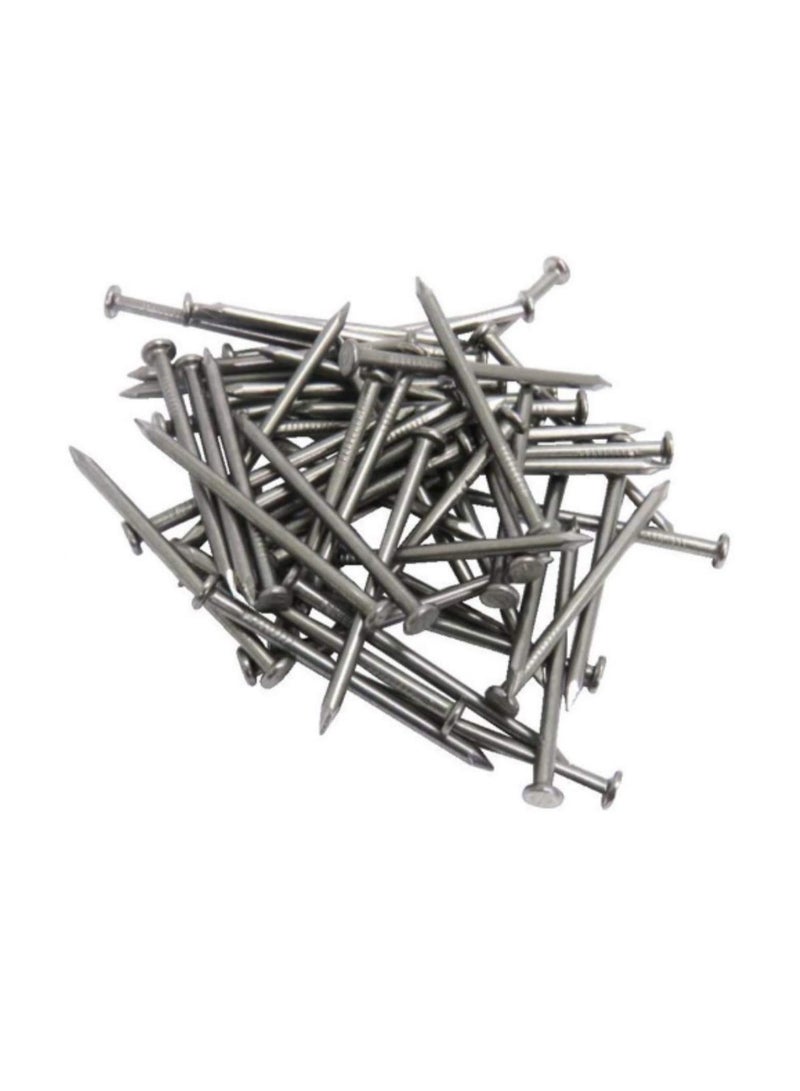 High Strength Round Head Nails For Carpentry Hardware Electrical Etc (100, 4 inch) - Image 1