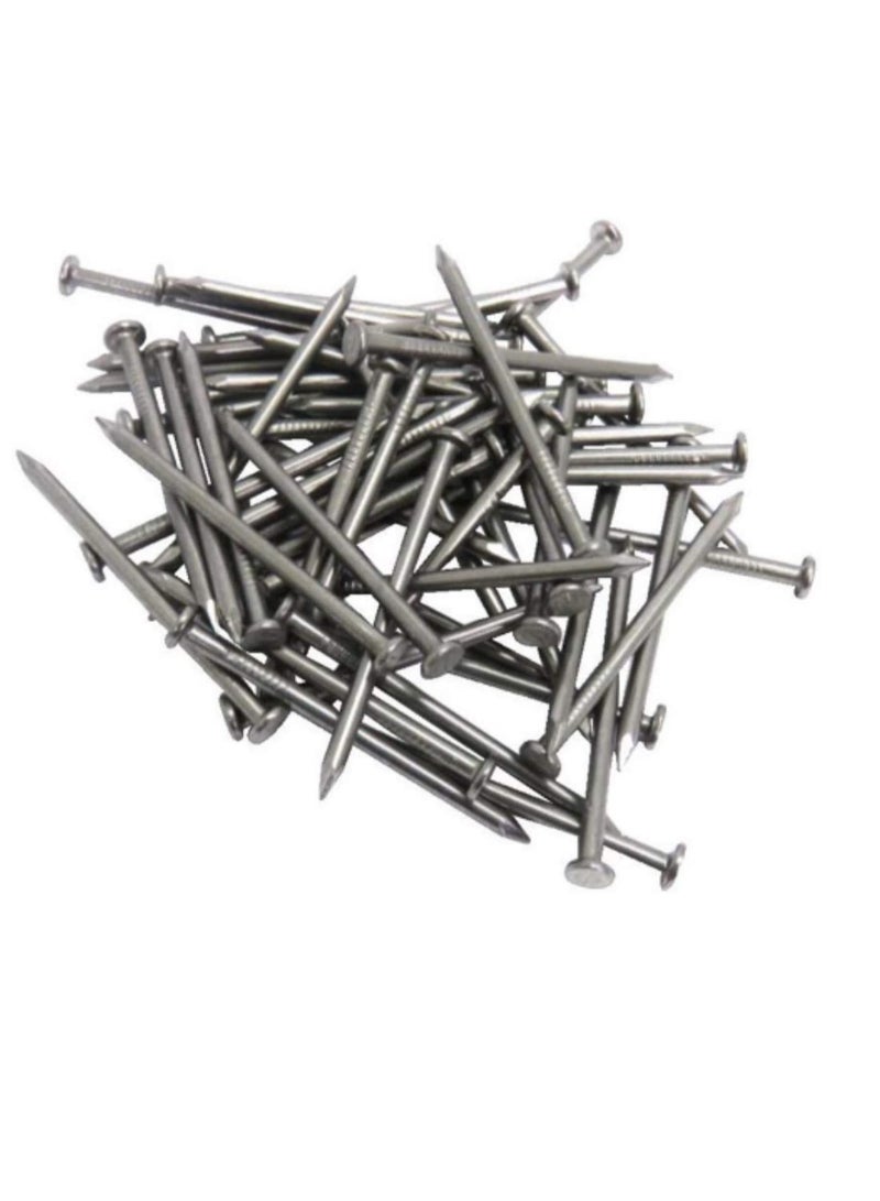 High Strength Round Head Nails For Carpentry Hardware Electrical Etc (100, 4 inch) - Image 2