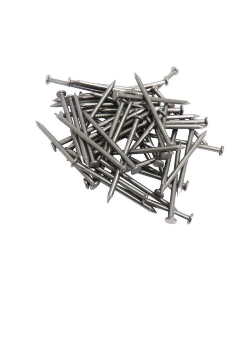High Strength Round Head Nails For Carpentry Hardware Electrical Etc (100, 4 inch) - Image 3