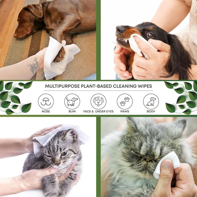 Absorb Plus Unscented Antibacterial Pet Wipes - 80 Sheets - Image 3