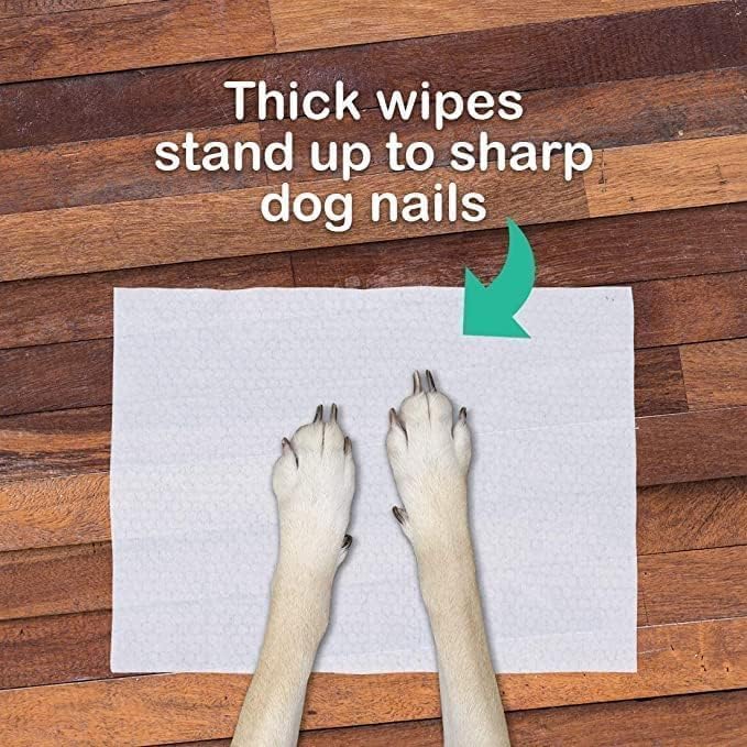 Absorb Plus Unscented Antibacterial Pet Wipes - 80 Sheets - Image 2