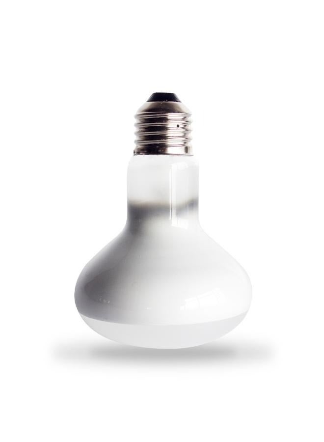 مصباح UVA غير لامع للزواحف والسلاحف والحرباء - 25 واط / 50 واط / 60 واط / 75 واط / 100 واط - Image 4