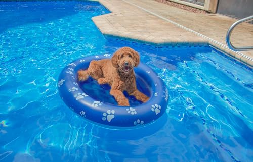 PoolCandy Inflatable Pet Float - Easy Set Up Doggy Pool Floats (Up-to 100LB PAW Large) - Image 4