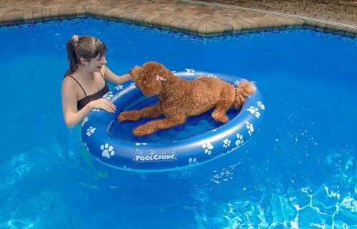 PoolCandy Inflatable Pet Float - Easy Set Up Doggy Pool Floats (Up-to 100LB PAW Large) - Image 3