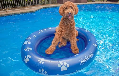 PoolCandy Inflatable Pet Float - Easy Set Up Doggy Pool Floats (Up-to 100LB PAW Large) - Image 2