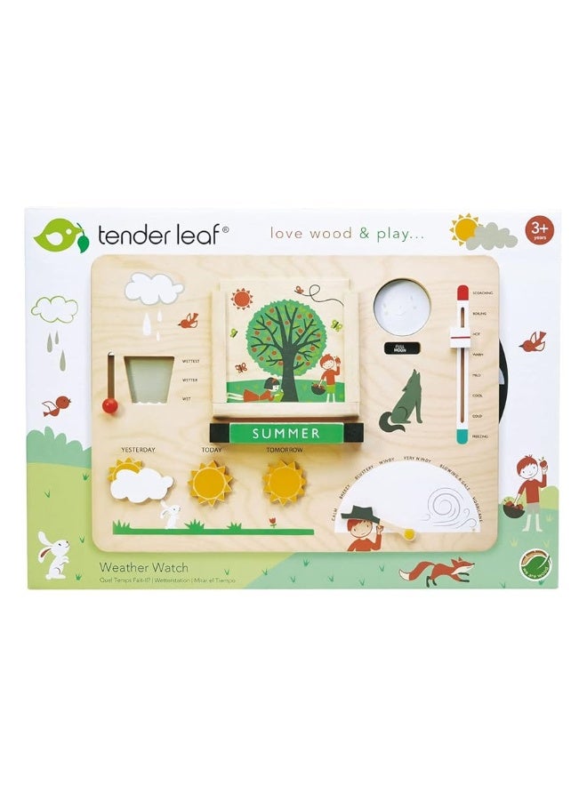 Tender Leaf Toys - Weather Watch - Educational Wooden Weatherboard for Kids - Perfect Climate Teaching Toy Station for Kids to Play and Learn for Age 3+ - Image 4