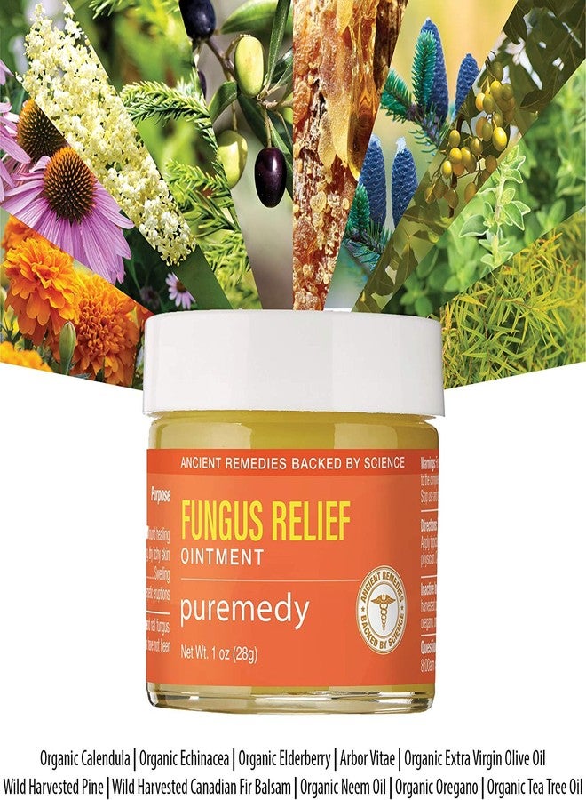 Puremedy مرهم بيورميدي لعلاج الفطريات - مرهم طبيعي بالكامل يخفف أعراض فطريات الجلد، فطريات الأظافر، قدم الرياضي وقوباء الأطفال - 1 أونصة (عبوة من 1) - Image 3