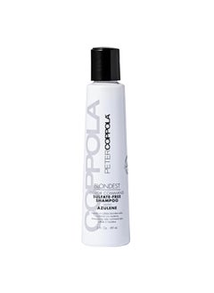 Peter Coppola PETER COPPOLA Purple Shampoo for Blonde Hair  SulfateFree Eliminates Brassy Yellow Tones  Strengthens Processed and Dry Hair  Keratin Protein  For Daily Use 3 Fl Oz 