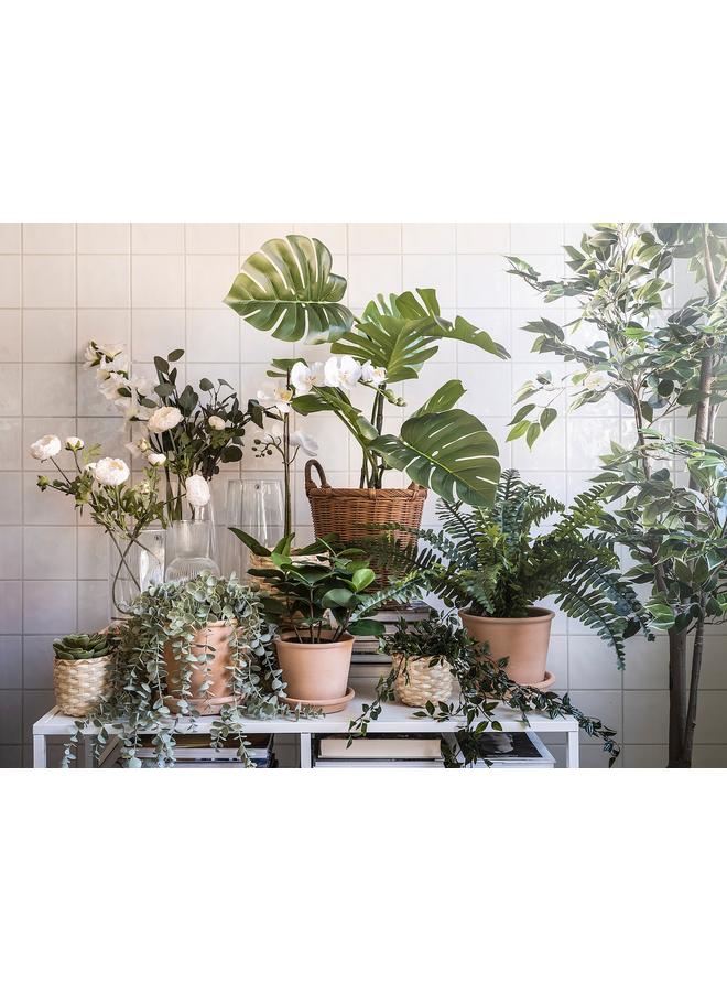 Zaboon Artificial Potted Plant, In/Outdoor Monstera, 19 Cm - Image 2