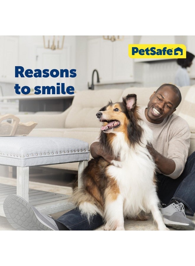 بيت سيف طوق مارتينجال قابل للتعديل من بيت سيف - يُحكم فقط عندما يسحب الكلب، ويمنع الانزلاق - يساعد في حالات السحب القوية، ويزيد من التحكم - بديل لطوق الاختناق - مقاس كبير 2.54 سم، لون أرجواني غامق - Image 2