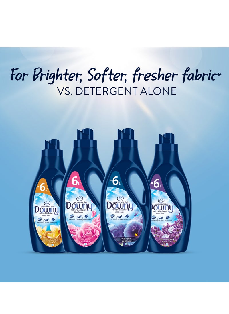 Downy - Rose Garden Variant Fabric Conditioner For More Softness 2L ≡ 6L - Image 1