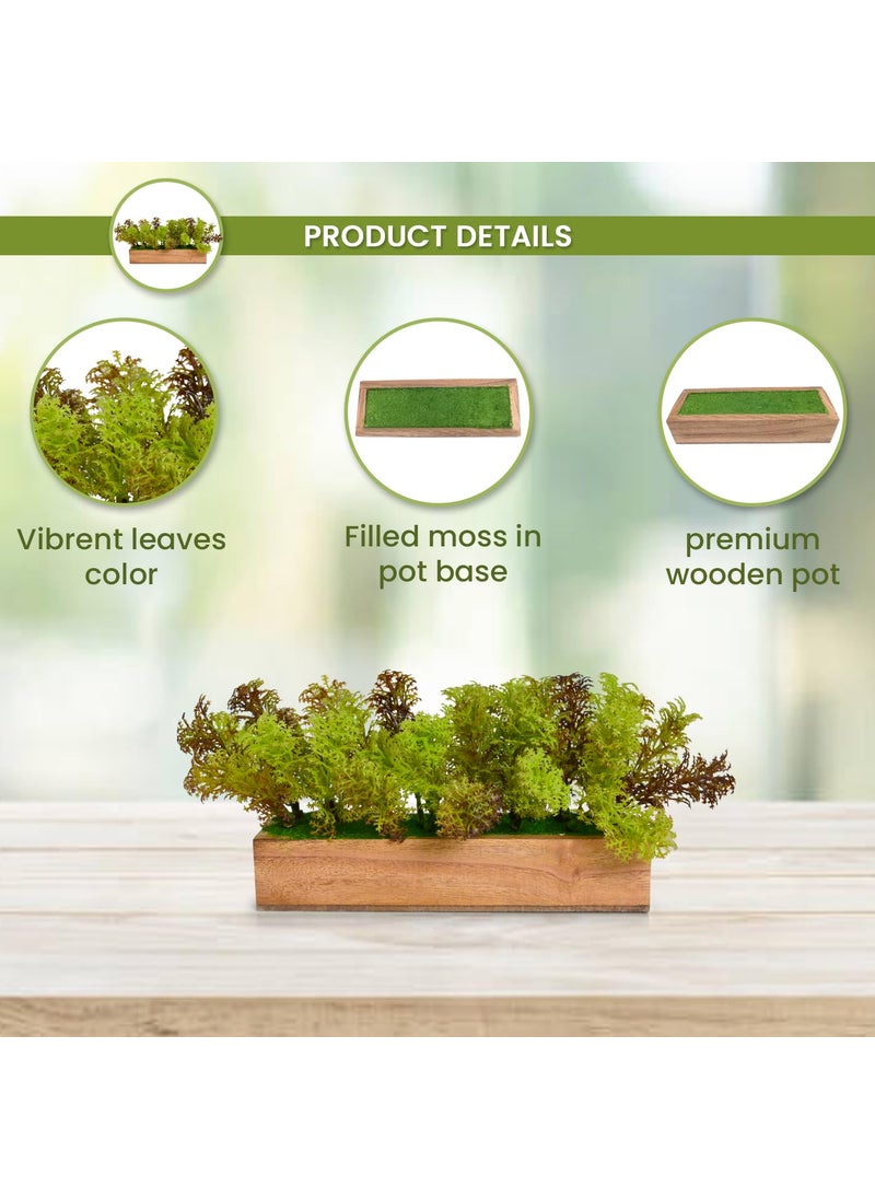 fancymart fancymart Artificial Plant Leaves in a Stylish Wooden Planter Perfect Home Dcor Item Height 11cm x Width 205cm  - Image 3