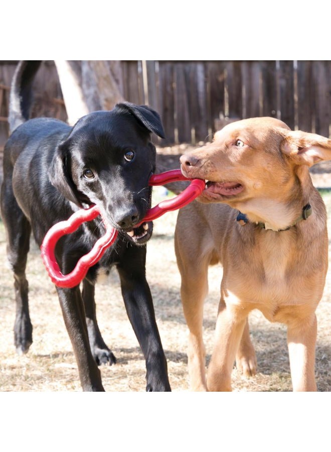 KONG - Tug - Durable Stretchy Rubber, Tug of War Dog Toy - For Medium Dogs - Image 2