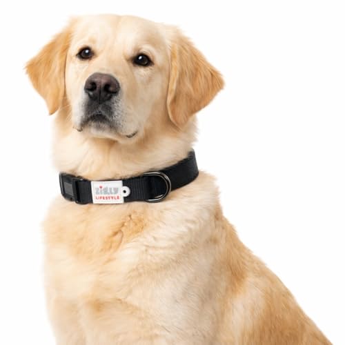 Zigly Lifestyle Adjustable Dog Collar-Medium (20mm), Black | Soft Padded Neck Collar for Dogs & Puppies | Durable, Comfortable Dog Collar Belt - Image 1