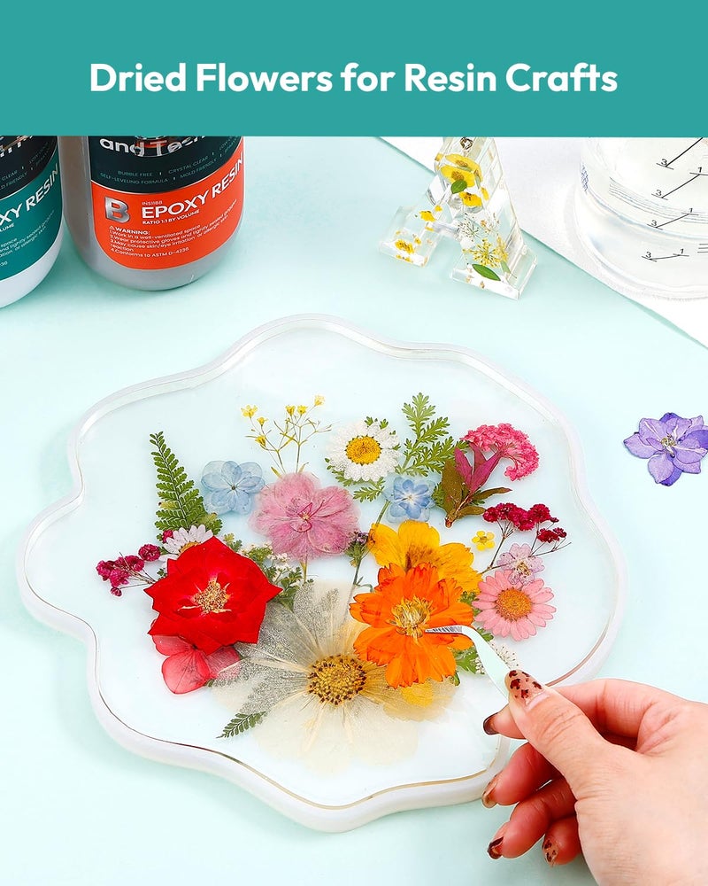 Resiners Dried Flowers, Resiners 100Pcs Pressed Flowers for Craft Retro Style Real Natural Dried Flowers Dry Leaves Kit for DIY Making Crafts Resin Soap Candle Scrapbook Supplies Card Making Jewelry - Image 3