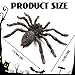 Lukinuo Realistic Fake Spiders 2pcs Plastic Spider Figures Tarantula Toys Figurines Spider Cake Toppers Halloween Prank Props Party Decoration - Image 4