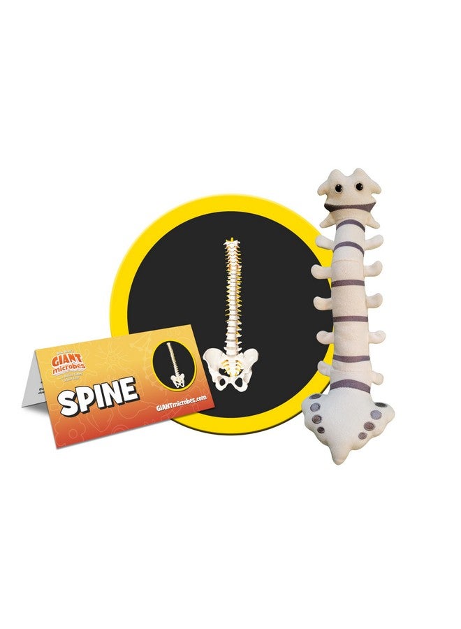 Giant Microbes GIANTmicrobes Spine Plush, Spine Surgeon Gifts, Back Surgery Recovery Gifts, Lumbar Spine Model, Neurology Gifts, Funny Chiropractor Gifts, Neurosurgery Gifts, Neurosurgeon Gifts, Back Pain Gifts - Image 2
