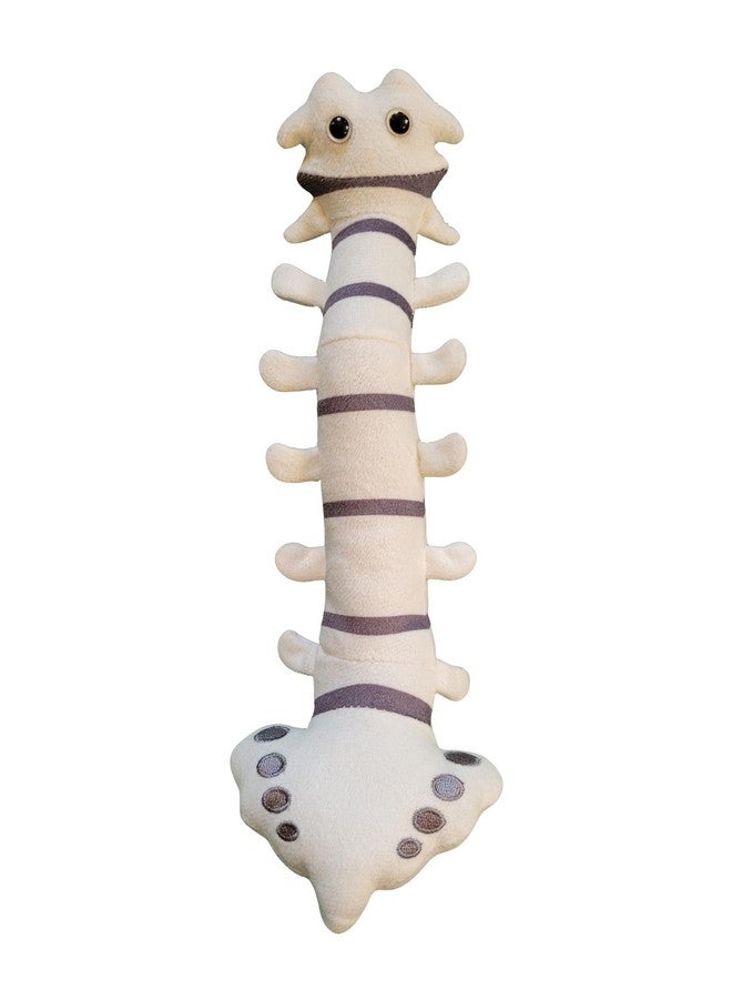 Giant Microbes GIANTmicrobes Spine Plush, Spine Surgeon Gifts, Back Surgery Recovery Gifts, Lumbar Spine Model, Neurology Gifts, Funny Chiropractor Gifts, Neurosurgery Gifts, Neurosurgeon Gifts, Back Pain Gifts - Image 1