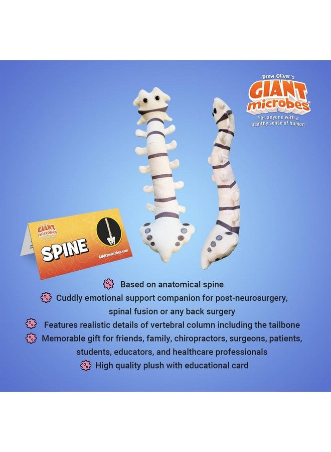 Giant Microbes GIANTmicrobes Spine Plush, Spine Surgeon Gifts, Back Surgery Recovery Gifts, Lumbar Spine Model, Neurology Gifts, Funny Chiropractor Gifts, Neurosurgery Gifts, Neurosurgeon Gifts, Back Pain Gifts - Image 3
