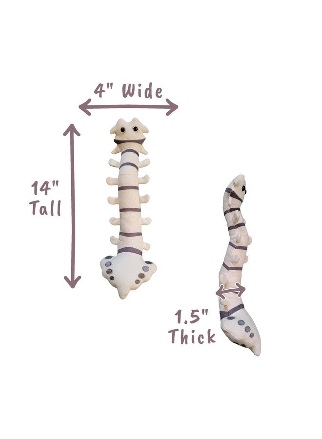 Giant Microbes GIANTmicrobes Spine Plush, Spine Surgeon Gifts, Back Surgery Recovery Gifts, Lumbar Spine Model, Neurology Gifts, Funny Chiropractor Gifts, Neurosurgery Gifts, Neurosurgeon Gifts, Back Pain Gifts - Image 4