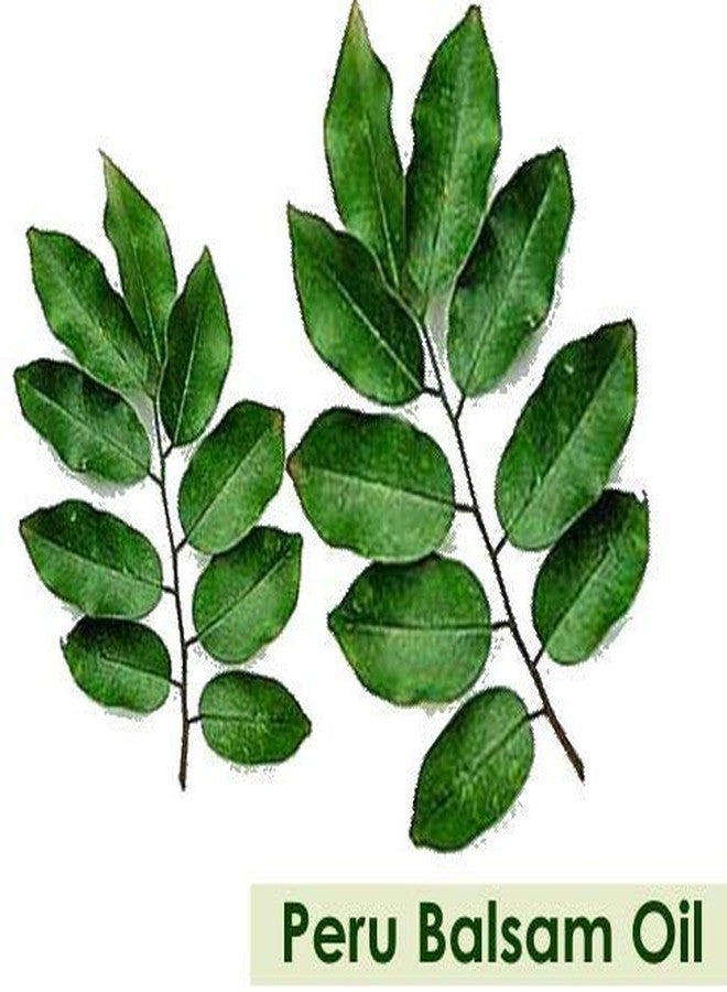 Salvia Peru Balsam Oil (Myroxylon Pereirae) 100% Pure & Natural With Dropper 100Ml - Image 3