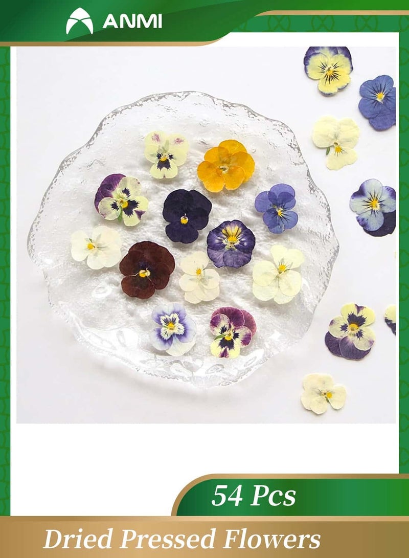 Anmi 54 Pcs Natural Dried Flowers for Resin Art, Pressed  Pansy Decor for Epoxy Jewelry, Cake Decoration, Phone Cases, Handmade Craft Supplies - Image 1