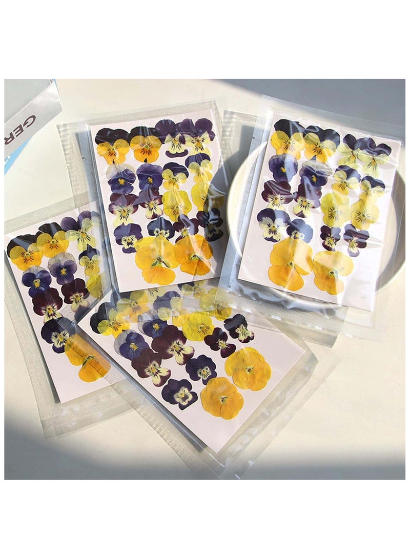 Anmi 54 Pcs Natural Dried Flowers for Resin Art, Pressed  Pansy Decor for Epoxy Jewelry, Cake Decoration, Phone Cases, Handmade Craft Supplies - Image 2