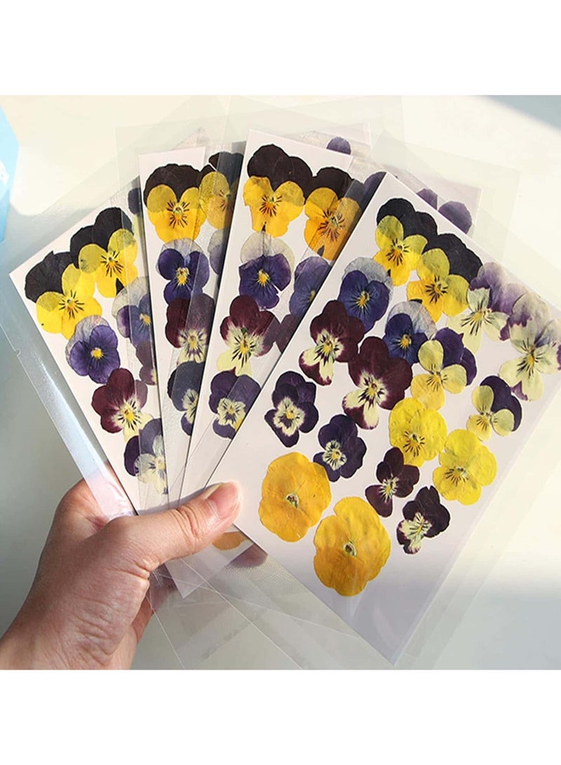 Anmi 54 Pcs Natural Dried Flowers for Resin Art, Pressed  Pansy Decor for Epoxy Jewelry, Cake Decoration, Phone Cases, Handmade Craft Supplies - Image 3