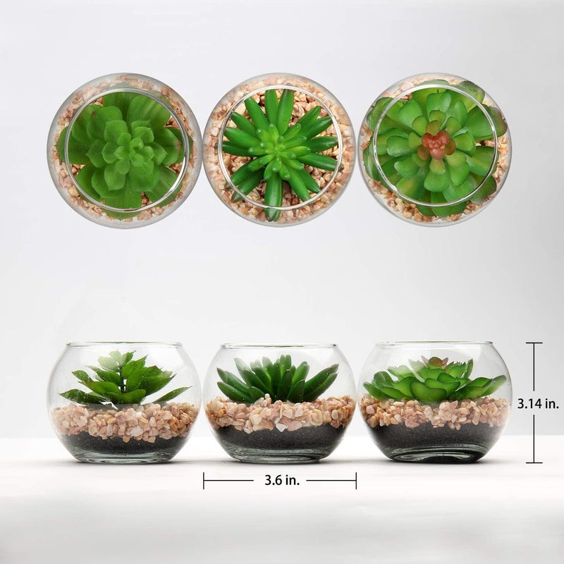 Briful Artificial Succulent Plants Assorted Mini Fake Succulents Plants Small Faux Plant Succulents in Glass Pots Decoration for Home Bathroom Bedroom Table Office Desk Indoor Shelf Decor Set of 3 - Image 2