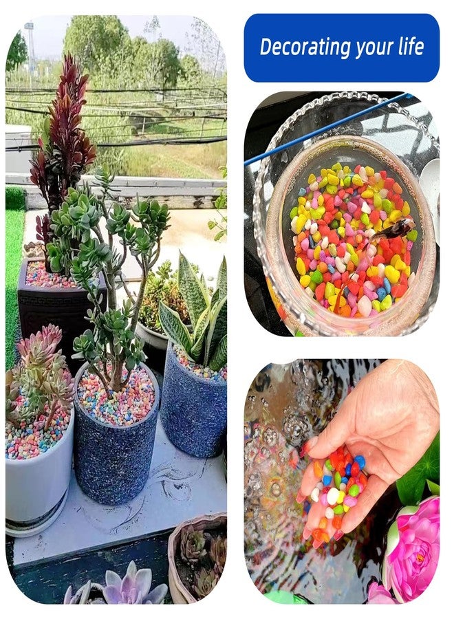 TACOLO Blue Pebbles for Crafts, 0.9 Pound Natural Polished Aquarium Gravel, Decorative Pebbles for Indoor Plants, Turtle Tank, Vase, Succulents Cactus, Garden Landscaping - Image 5