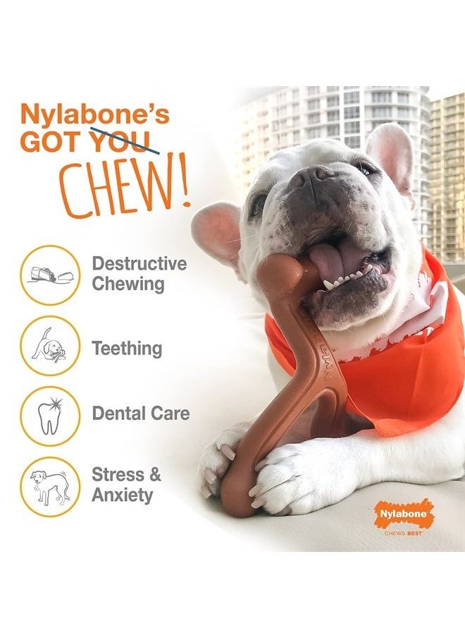 Nylabone Power Chew Alternative Braided Bully Braid Stick Bully Flavor Large/Giant - Up to 50 lbs.  - Image 2