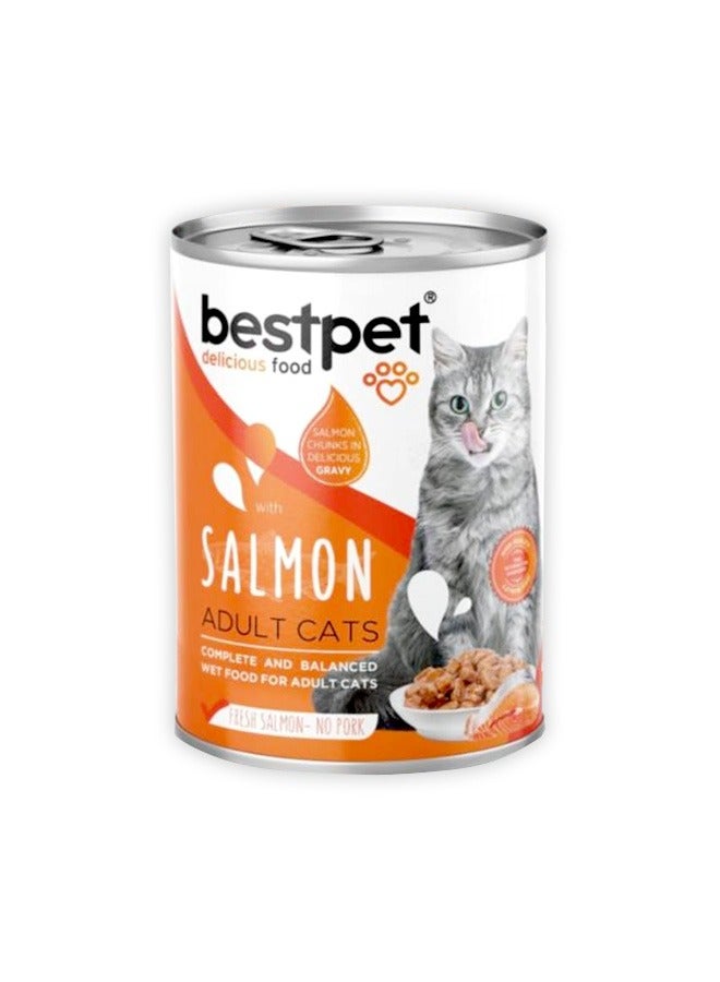 بيست بت مرق سمك السلمون اللذيذ للقطط البالغة - 400 غرام - Image 1