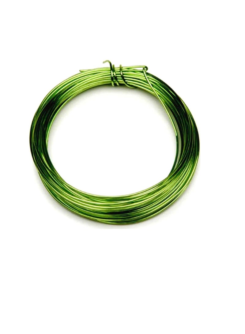 Silver Plated Copper Wire 20 Gauge Parrot Green 8 Yards - Image 2